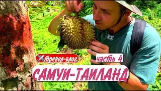 Часть 4. Закрытые плантации Самуи🍌 Секреты красивого Таиланда с Шпакович Максимом🌴 #остров