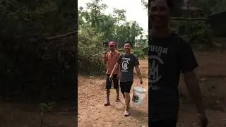 ដើចាក់អង្រង#viralvideo