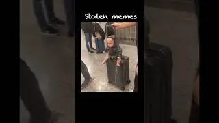 Stolen memes from elon musk