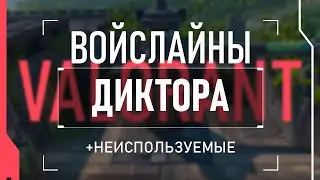 ВОЙСЛАЙНЫ ДИКТОРА VALORANT