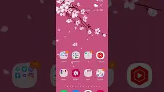 Switch between Google Discover & Samsung Free