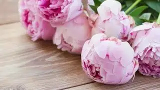 Доброе, очень доброе Утро!!! Пусть в жизни все меняется к хорошему, счастливому!!!