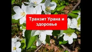 Транзит Урана и здоровье