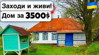 🇺🇦 Заходи и живи! Дом в селе за 3500$ Продажа недвижимости за копейки! Всё есть Уютное тихое село!