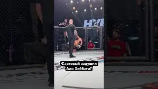 Фартовый задушил Али Хейбати?