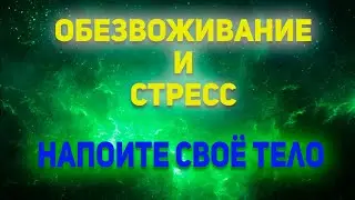Обезвоживание и стресс. Напоите своё тело