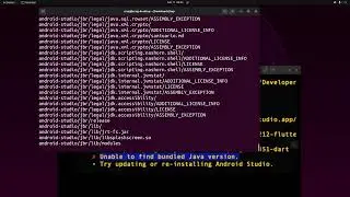 Flutter doctor - Unable to find bundled Java version on Ubuntu - Android Studio Electric Eel