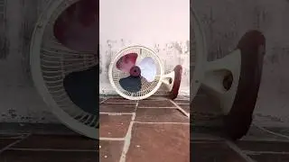 funny dancing fan video
