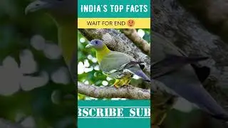 Haryal facts in hindi | ITF Facts 