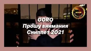 🎧 Новая песня Goro - Прошу внимания (Сниппет 2021)