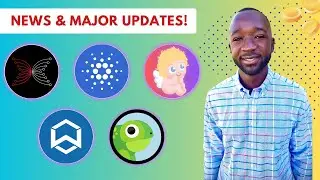 Cardano TAKES OVER Key NFT Index! NEW SPO Parameters, Cross-Chain Bridges LIVE, NFT Rentals & More!