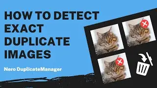 How to Detect Exact Duplicate Images | Nero DuplicateManager Tutorial