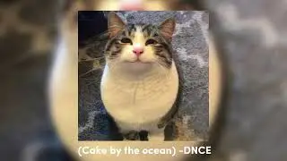 “Cake by the ocean” (sped up)