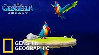 IF GENSHIN HAS A WILDLIFE DOCUMENTARY! (DUSK BIRD) | Genshin Impact