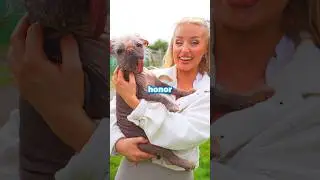 Meeting The World's Ugliest Dog!