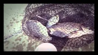 Рыболовная соната. Рыбалка в киеве.