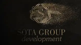 Sota Group Development