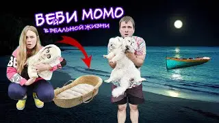 БЕЙБИ МОМО В РЕАЛЬНОЙ ЖИЗНИ | СПАСЛИ ДЕТЁНЫША МОМО С КОТОМ И СОБАКОЙ