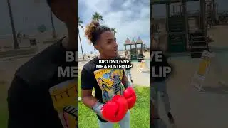 BOXING STRANGERS IN PUBLIC