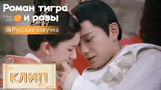 Настоящая любовь💞Они встретились в реальном мире! Роман тигра и розы【Русская озвучка】传闻中的陈芊芊