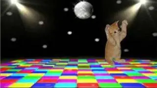 The Meow Dance!