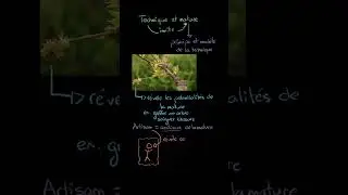 ARISTOTE - La technique et la nature