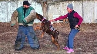 ПОТРЯСАЮЩЕ!!! Шикарная работа ДОБЕРМАНА по защите и охране хозяйки. СТРАЖ. Одесса. Украина.