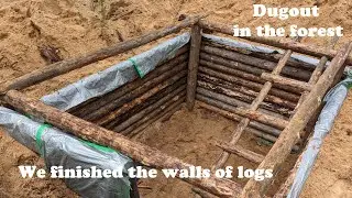 Building dugout in the forest: We finished the walls of logs.