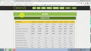 MetaBux, PTCclikz, Prokik - проверка платежеспособности буксов (PTC)