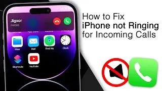 How to Fix iPhone not Ringing for incoming Calls! [4 Methods]