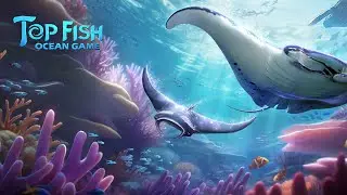 Top Fish: Ocean Game Gameplay Android