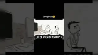 Life of senior developer 😒 