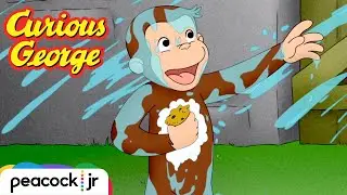 Pool Problems | CURIOUS GEORGE