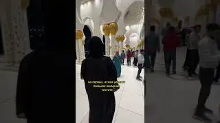 ПОЧЕМУ КОШЕК ПУСКАЮТ В МЕЧЕТИ? 