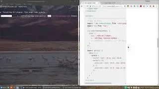How to Embed Google Maps in a Vue Project