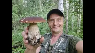 Пошёл в лес и нашёл очень красивый гриб! Вечерние поиски грибов 2022 г.