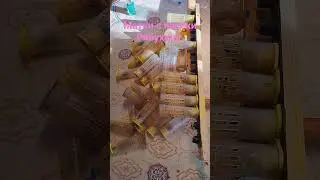 Очередная партия пчелинных маток на пасеке Рябухина