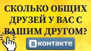 Как посмотреть сколько общих друзей у вас с вашим другом в ВКонтакте с телефона?