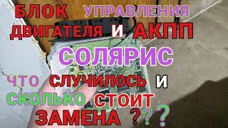 Блок управления двигателя и акпп на СОЛЯРИС что случилось и сколько стоит замена