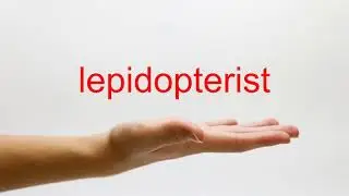 How to Pronounce lepidopterist - American English