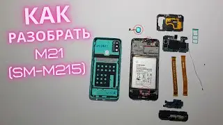 Samsung M21 разбираю и собираю за 5 минут! (SM-M215F)