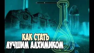 Skyrim КАК СТАТЬ ВНУКОМ АЛХИМИИ (Возвращение к корням)