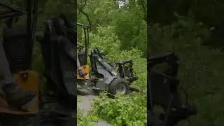 Canopy tree trimming with a Jarraff tree trimmer 