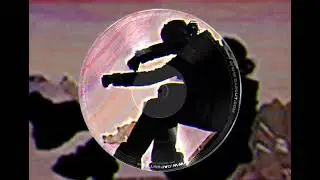 Papi Jay - 100 Racks (Official Visualizer)