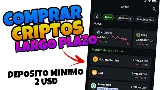 👉 Como INVERTIR en Criptomonedas a LARGO PLAZO 🔥