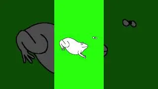Green screen Frog animation free download | Copyright Free Videos | 