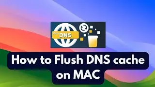 How to Flush DNS cache on MAC