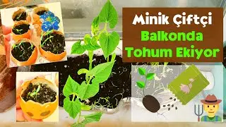 Evde Tohum Nasıl Ekilir? 🌱 Yumurta ve Şişe Saksıya Ekim Yaptık I Minik Çiftçi İş Başında - 1