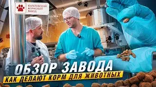 САРАТОВ | Как делают сухой корм для животных в Саратове | Обзор производства СКЗ