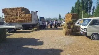 2 iyul Fargona tumani AVVAL qishlogi YEM va HASHAK BOZORI NARXLARI